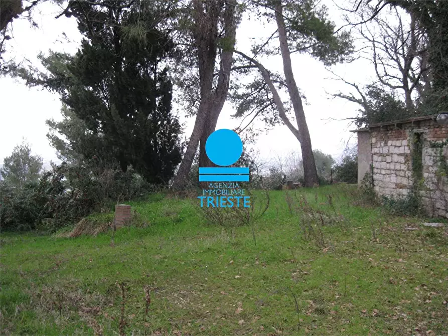 Immagine 8 di Rustico / casale in vendita  a Pesaro