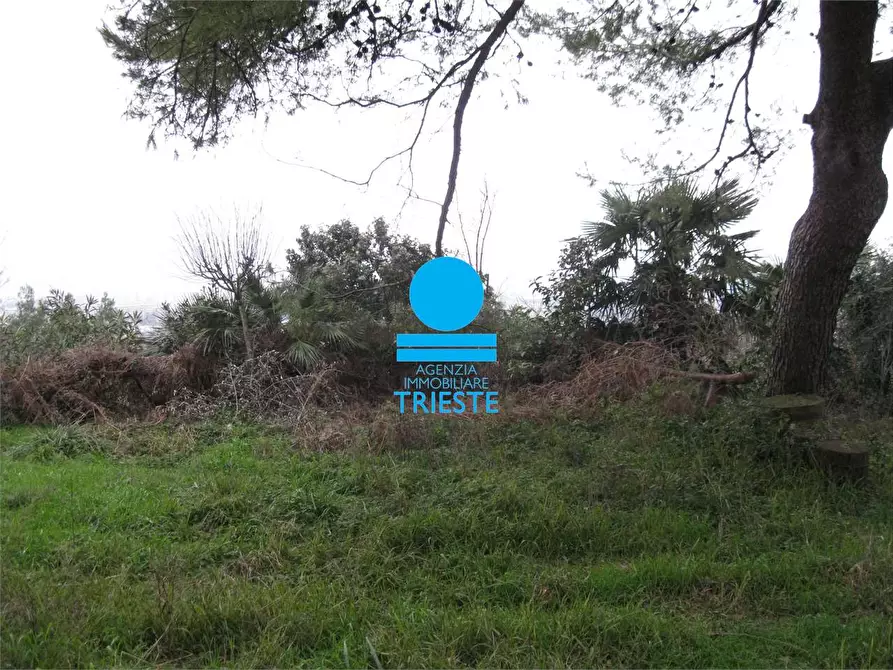 Immagine 9 di Rustico / casale in vendita  a Pesaro