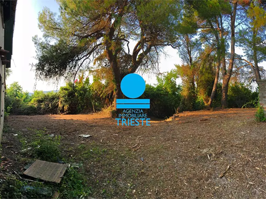 Immagine 13 di Rustico / casale in vendita  a Pesaro