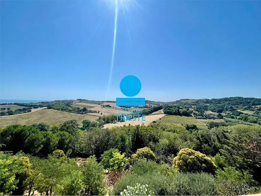 Immagine 8 di Villa in vendita  a Pesaro