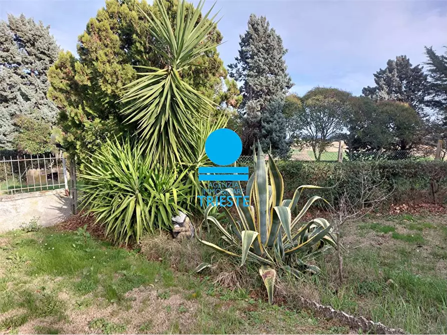 Immagine 6 di Rustico / casale in vendita  a Tavullia