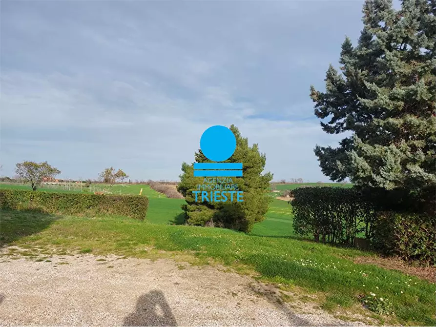 Immagine 7 di Rustico / casale in vendita  a Tavullia