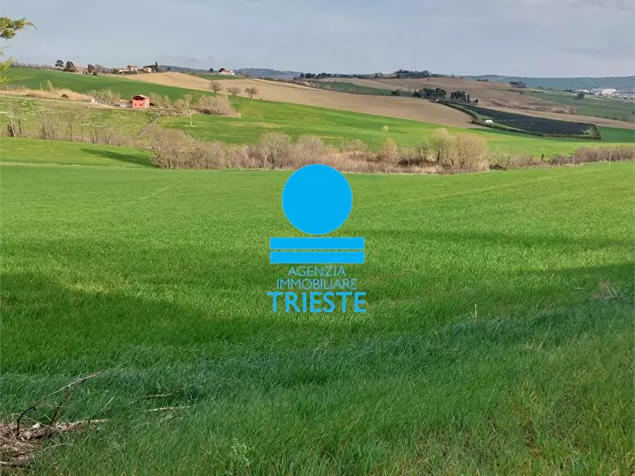 Immagine 1 di Rustico / casale in vendita  a Tavullia