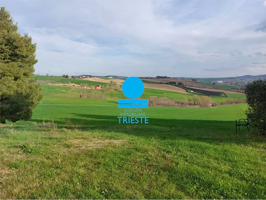 Immagine 2 di Rustico / casale in vendita  a Tavullia