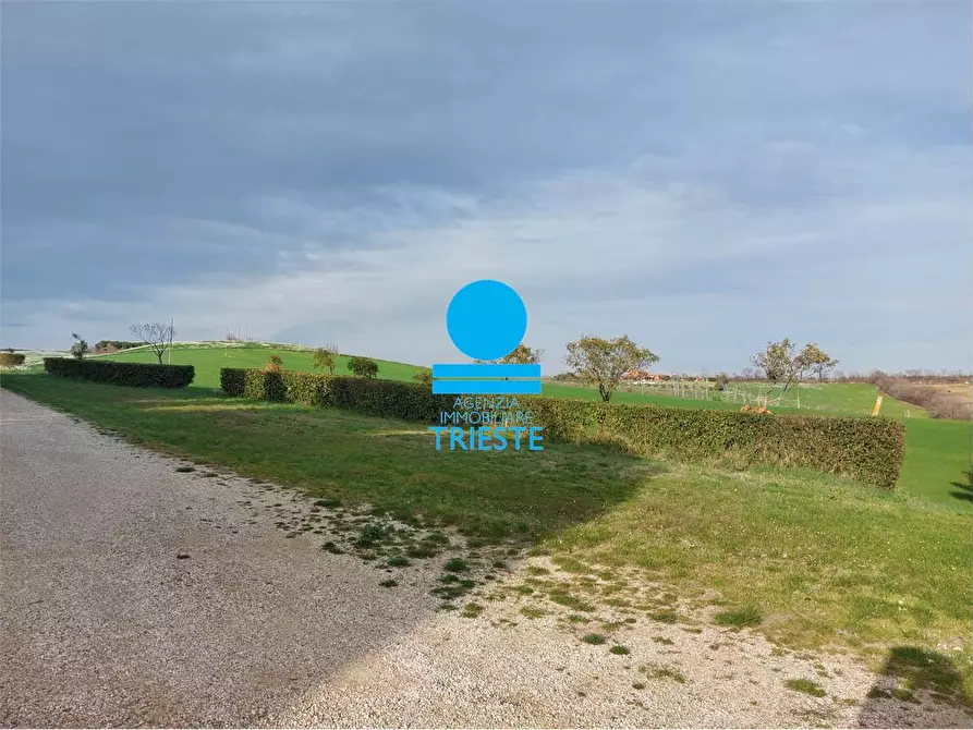 Immagine 3 di Rustico / casale in vendita  a Tavullia