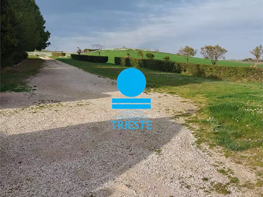 Immagine 11 di Rustico / casale in vendita  a Tavullia