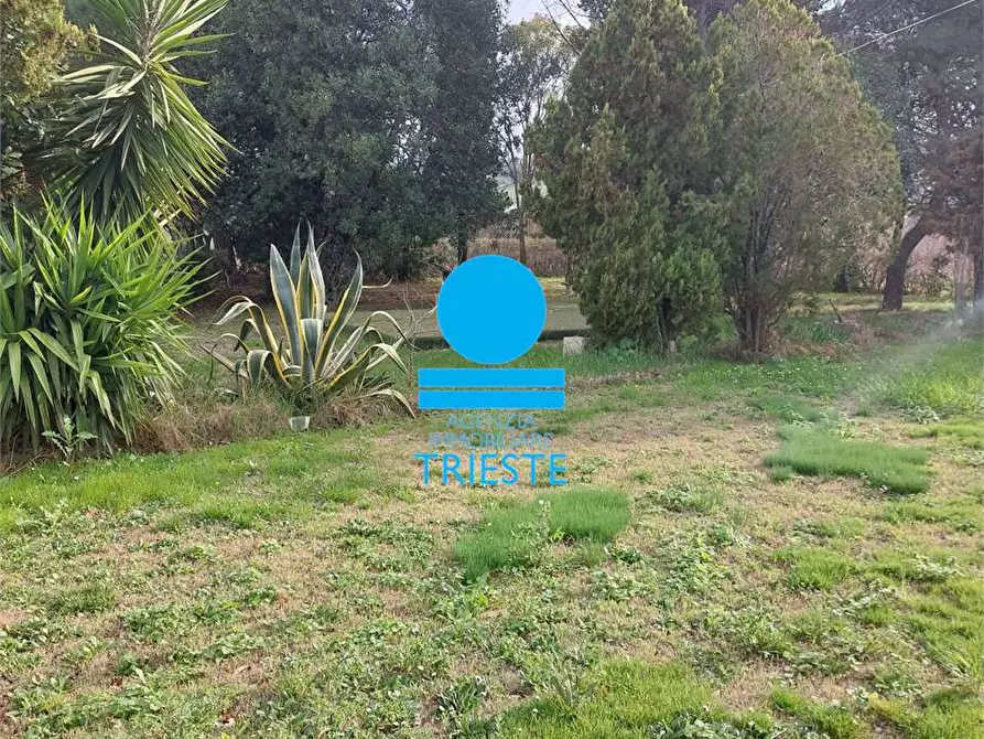 Immagine 12 di Rustico / casale in vendita  a Tavullia