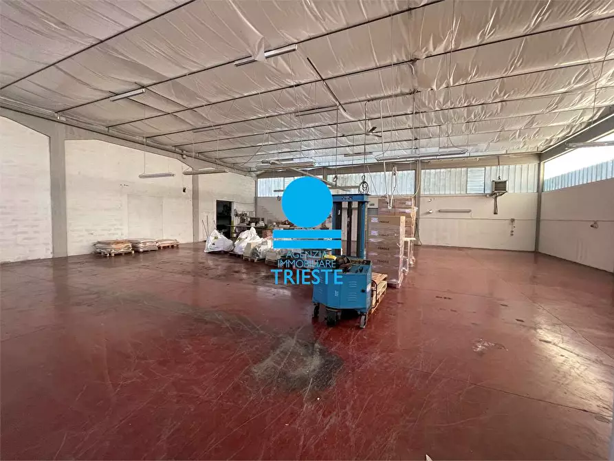 Immagine 2 di Capannone industriale in affitto  a Pesaro