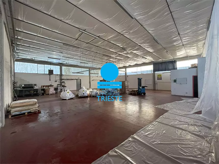 Immagine 3 di Capannone industriale in affitto  a Pesaro