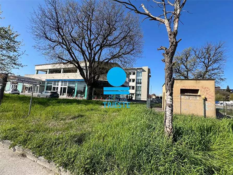 Immagine 5 di Ufficio in affitto  a Pesaro