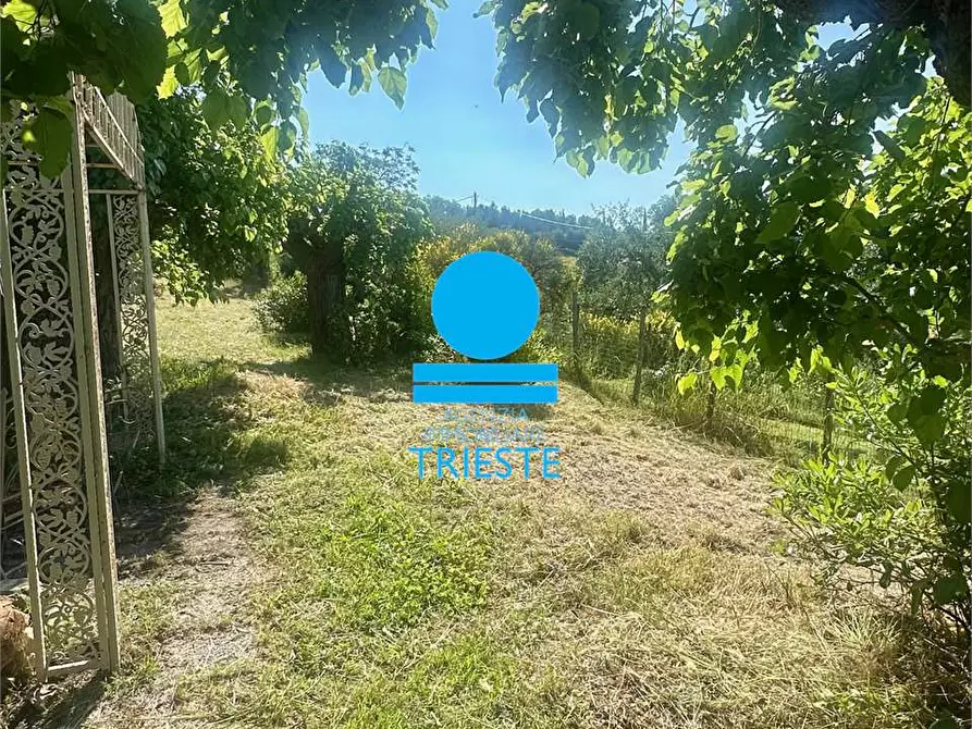 Immagine 26 di Villetta a schiera in vendita  a Pesaro