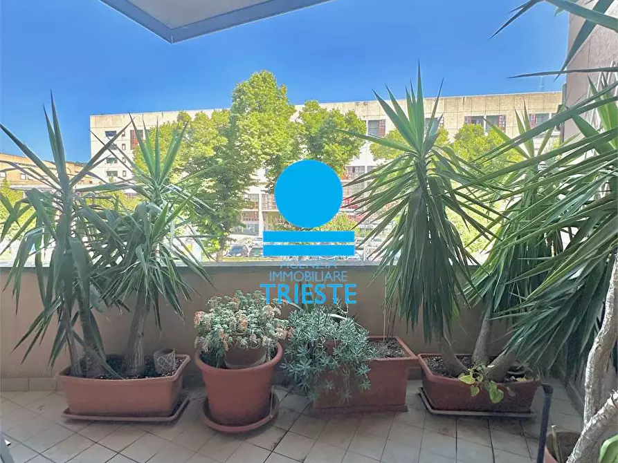 Immagine 2 di Quadrilocale in vendita  a Pesaro