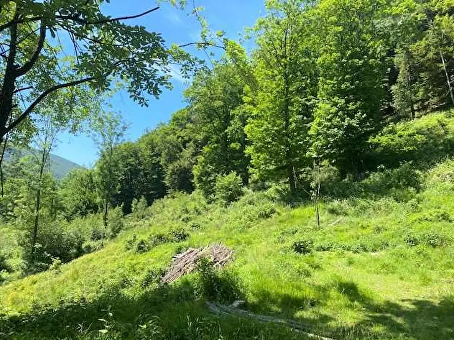 Immagine 27 di Rustico / casale in vendita  in Dogana Valmara a Alta Valle Intelvi