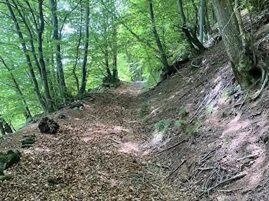 Immagine 12 di Rustico / casale in vendita  in Dogana Valmara a Alta Valle Intelvi