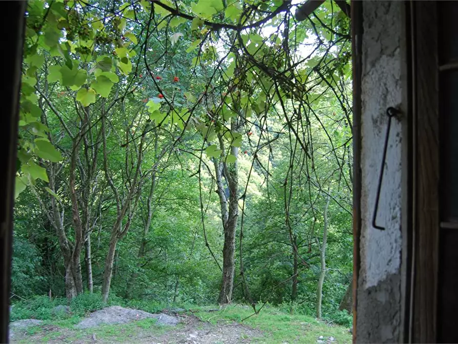 Immagine 23 di Rustico / casale in vendita  in Dogana Valmara a Alta Valle Intelvi