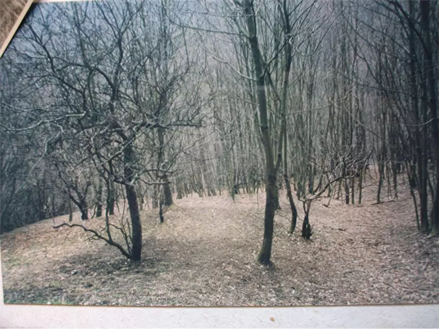 Immagine 32 di Rustico / casale in vendita  in Dogana Valmara a Alta Valle Intelvi