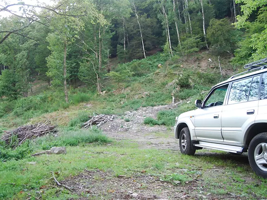 Immagine 15 di Rustico / casale in vendita  in Dogana Valmara a Alta Valle Intelvi