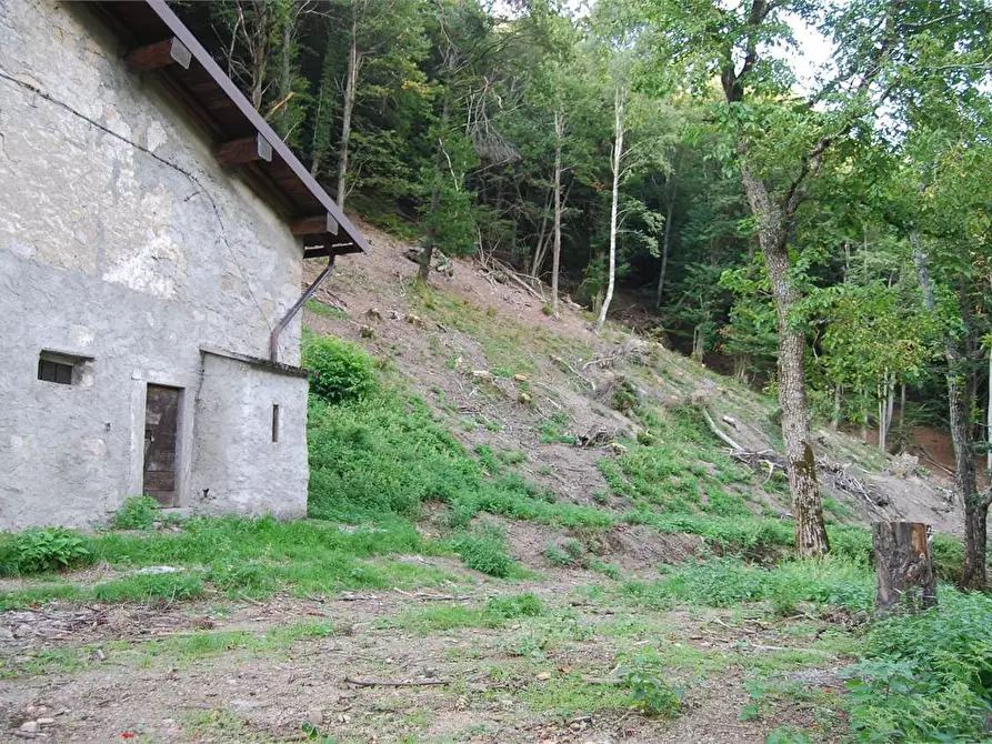 Immagine 11 di Rustico / casale in vendita  in Dogana Valmara a Alta Valle Intelvi