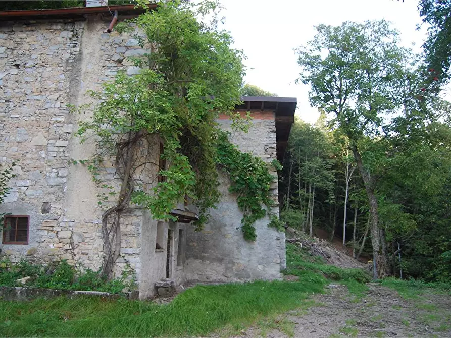 Immagine 7 di Rustico / casale in vendita  in Dogana Valmara a Alta Valle Intelvi