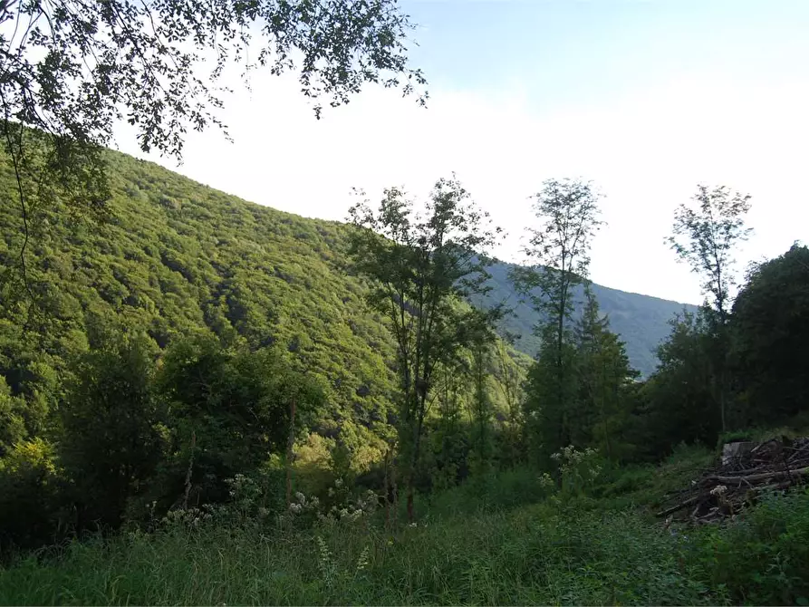 Immagine 31 di Rustico / casale in vendita  in Dogana Valmara a Alta Valle Intelvi