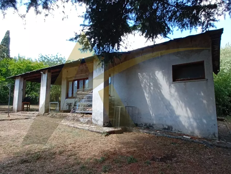 Immagine 5 di Casa colonica in vendita  in Via S. Nicola 53 a Velletri