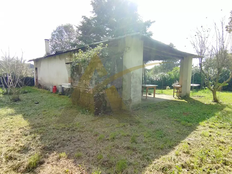 Immagine 11 di Casa colonica in vendita  in Via S. Nicola 53 a Velletri