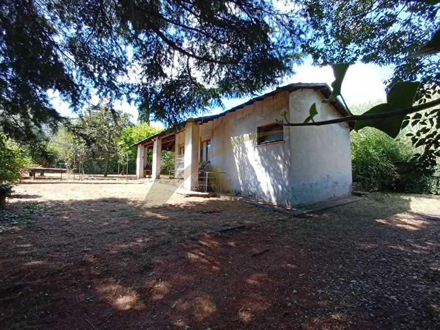 Immagine 3 di Casa colonica in vendita  in Via S. Nicola 53 a Velletri