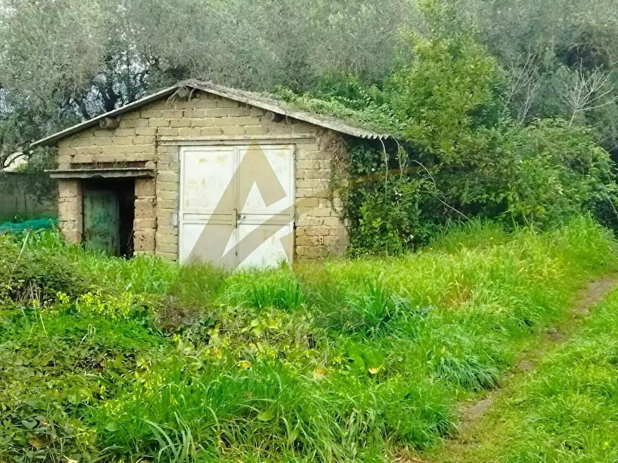 Immagine 3 di Casa colonica in vendita  in via capitancelli 124 a Velletri