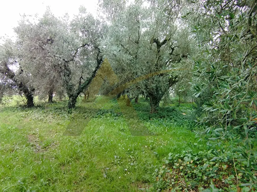 Immagine 2 di Casa colonica in vendita  in via capitancelli 124 a Velletri
