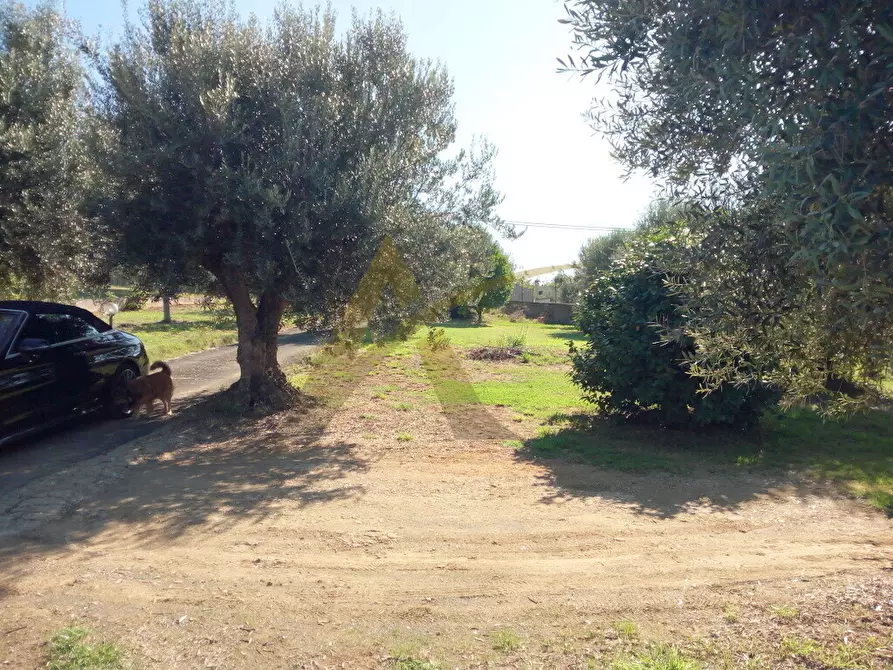 Immagine 17 di Villa in vendita  in Via Fontana Parata 54 a Velletri