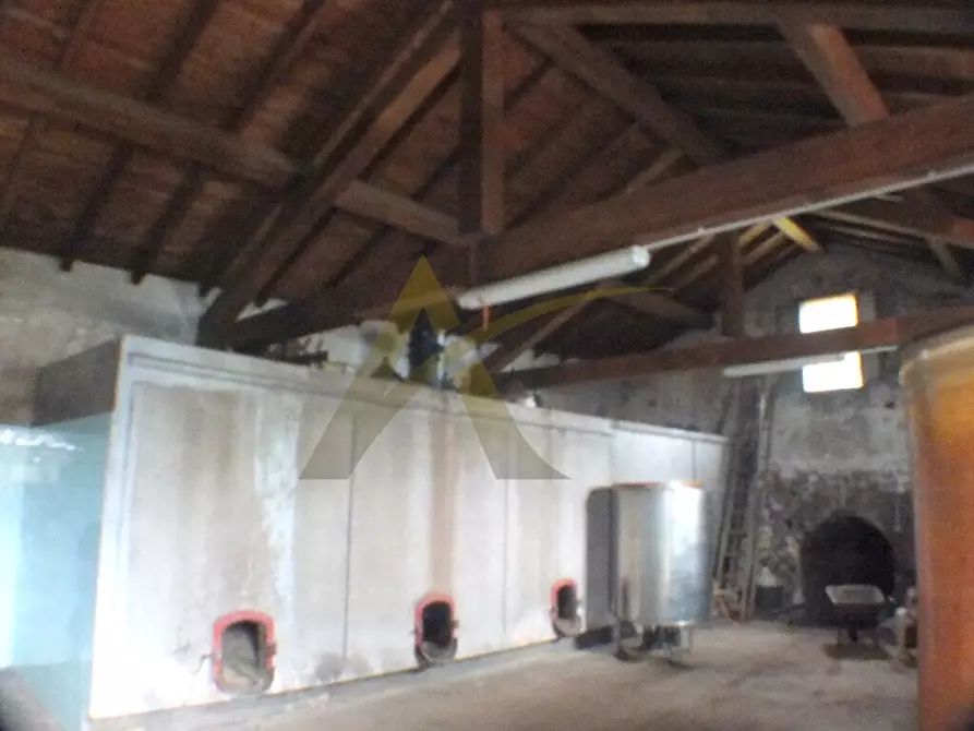 Immagine 5 di Casa colonica in vendita  in via contrada comune 87 a Velletri