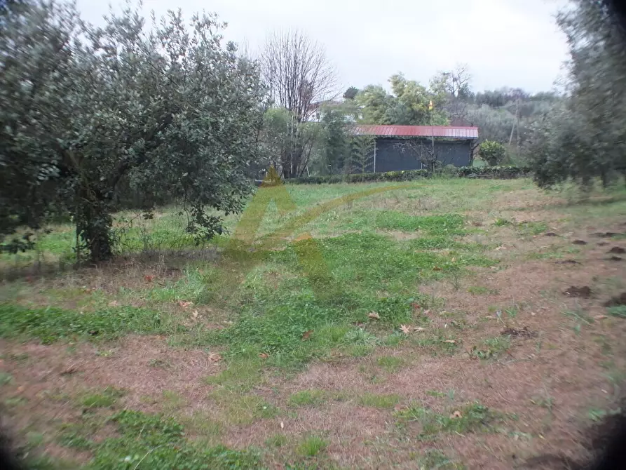 Immagine 7 di Casa colonica in vendita  in via contrada comune 87 a Velletri