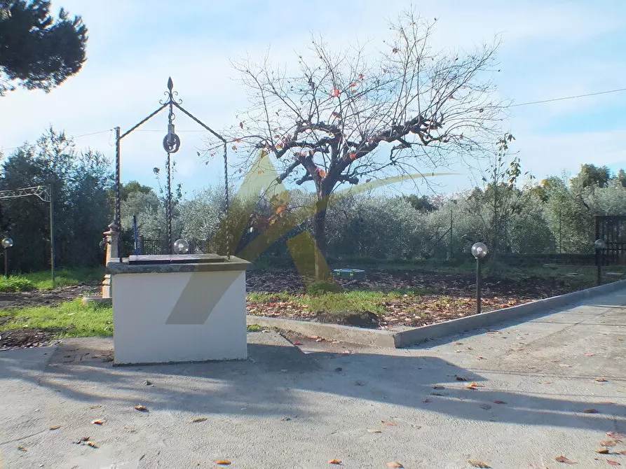 Immagine 13 di Villa in vendita  in Via Casale Capitancelli 13 a Velletri