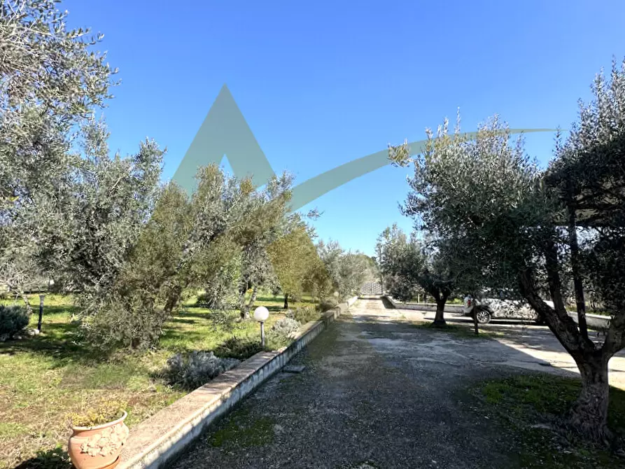 Immagine 41 di Villa in vendita  in Appia Sud 217 a Velletri