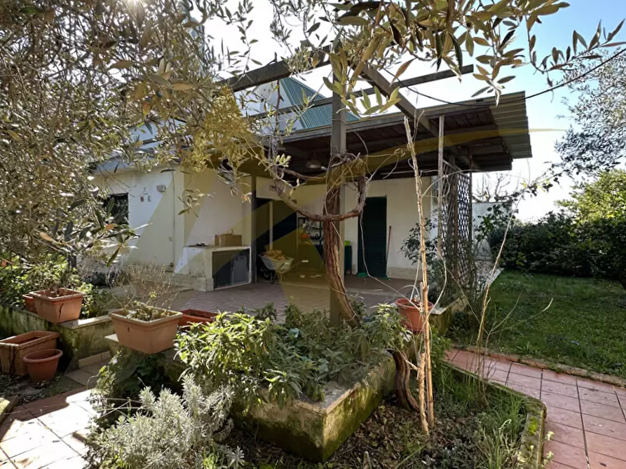 Immagine 7 di Villa in vendita  in Appia Sud 217 a Velletri