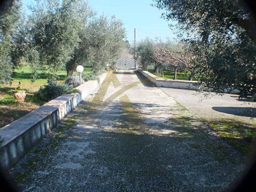 Immagine 2 di Villa in vendita  in Appia Sud 217 a Velletri