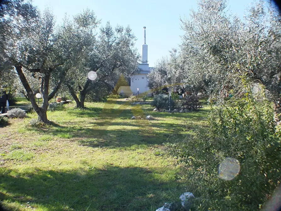 Immagine 3 di Villa in vendita  in Appia Sud 217 a Velletri