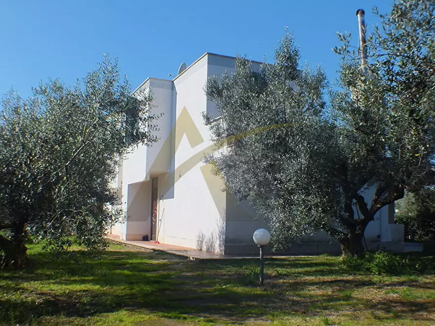 Immagine 4 di Villa in vendita  in Appia Sud 217 a Velletri