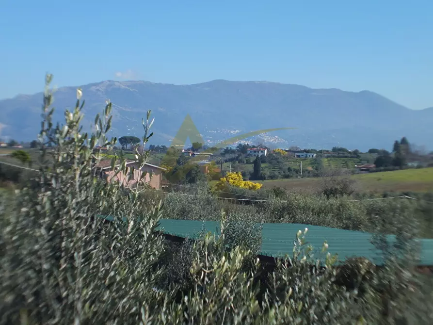Immagine 34 di Villa in vendita  in Appia Sud 217 a Velletri