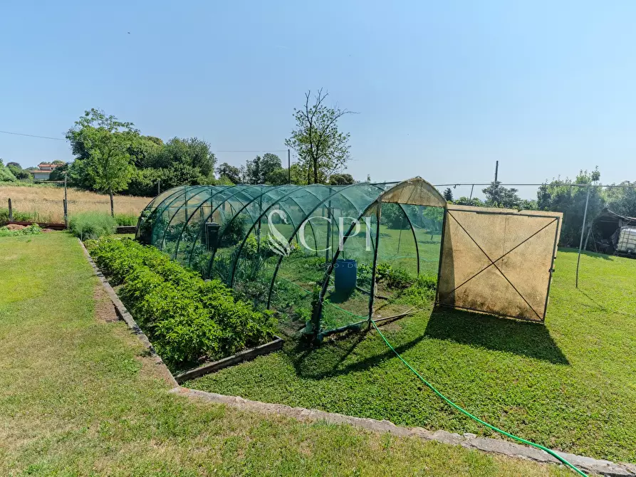 Immagine 43 di Villa in vendita  in Via Pianzaghi 4 a Borgo Ticino