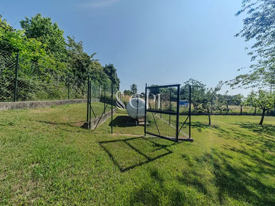 Immagine 30 di Villa in vendita  in Via Pianzaghi 4 a Borgo Ticino