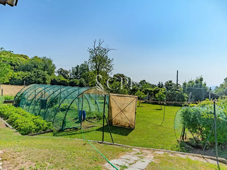 Immagine 42 di Villa in vendita  in Via Pianzaghi 4 a Borgo Ticino