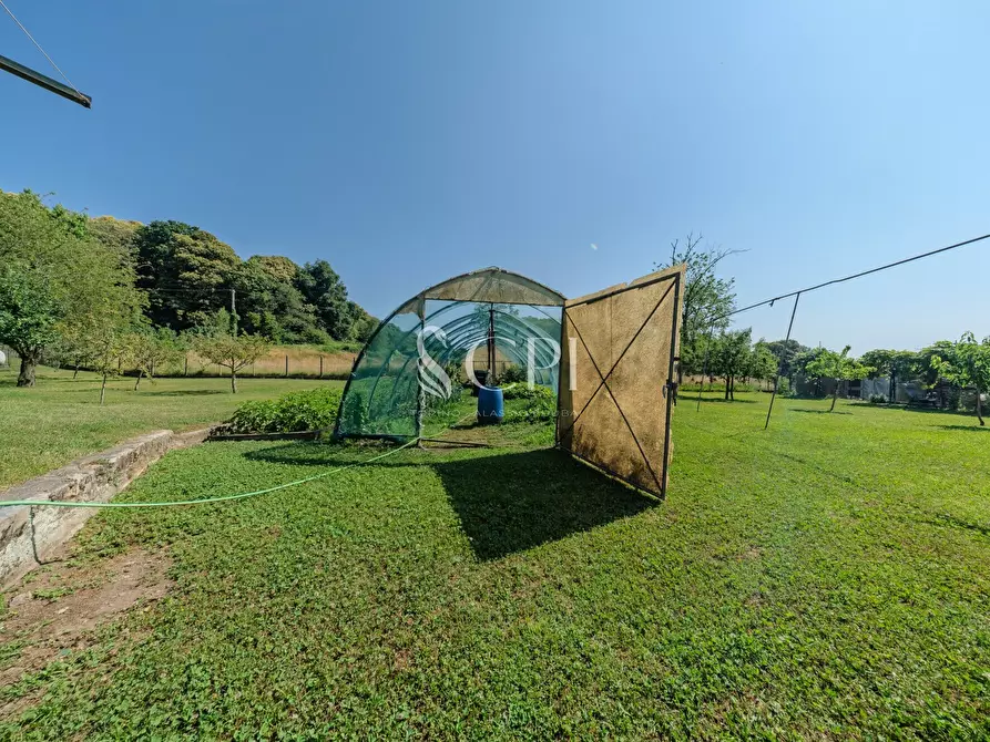 Immagine 34 di Villa in vendita  in Via Pianzaghi 4 a Borgo Ticino