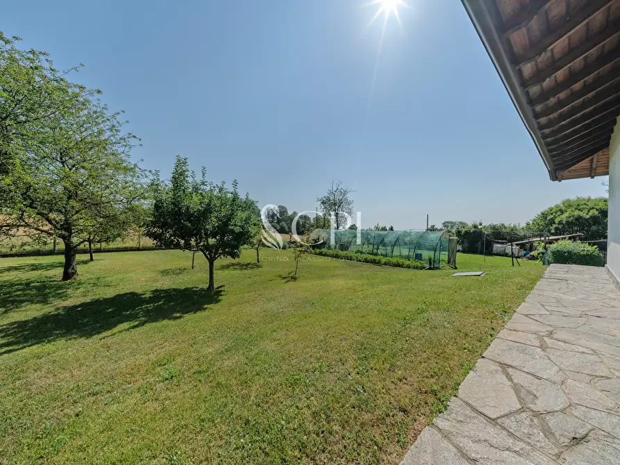 Immagine 33 di Villa in vendita  in Via Pianzaghi 4 a Borgo Ticino