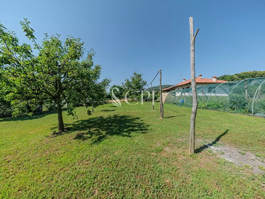 Immagine 37 di Villa in vendita  in Via Pianzaghi 4 a Borgo Ticino
