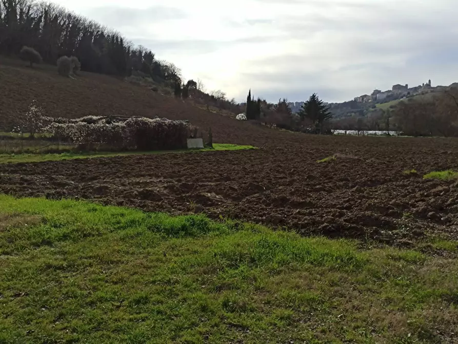 Immagine 2 di Palazzo in vendita  in CONTRADA MORICA a Macerata