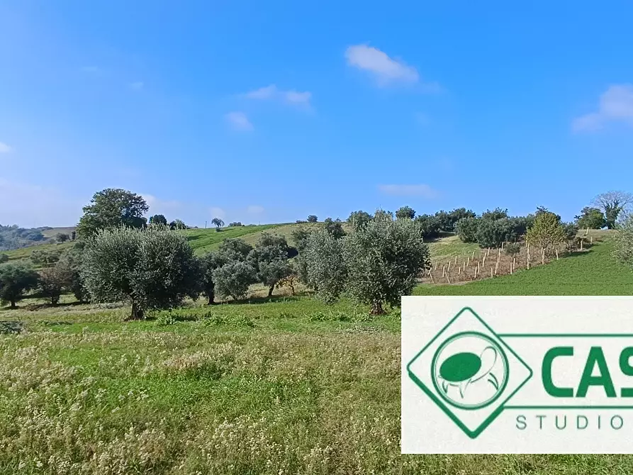 Immagine 3 di Palazzo in vendita  in CONTRADA FURIASSE a Macerata