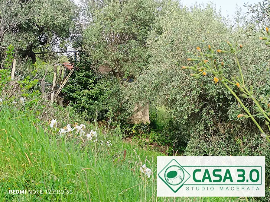 Immagine 5 di Palazzo in vendita  in CONTRADA PACE a Macerata