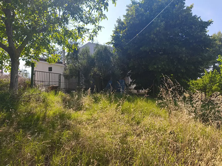 Immagine 14 di Terreno in vendita  in C/DA RINALDI 1 a Appignano