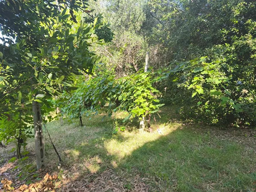 Immagine 17 di Terreno in vendita  in C/DA RINALDI 1 a Appignano